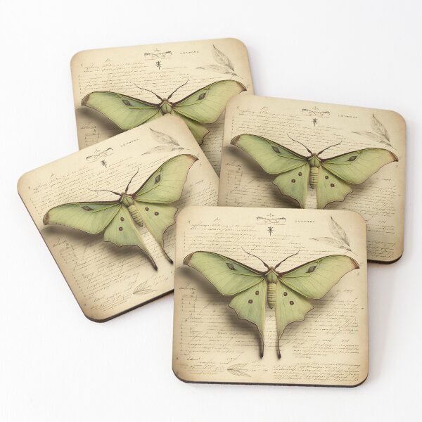 Item preview, Luna Moth Diagram designed and sold by JynnxedOne.