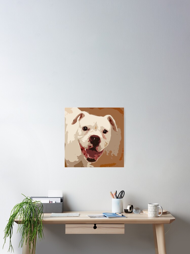 Weisser Boxerhund Poster Von Ritmoboxers Redbubble