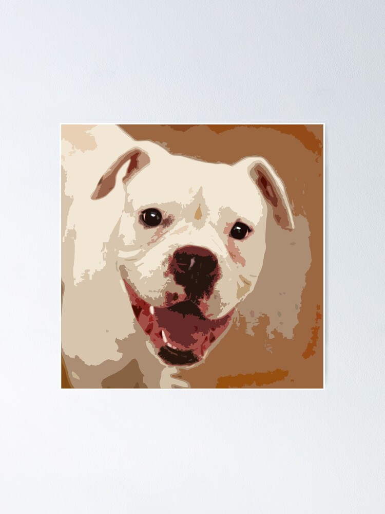 Weisser Boxerhund Poster Von Ritmoboxers Redbubble