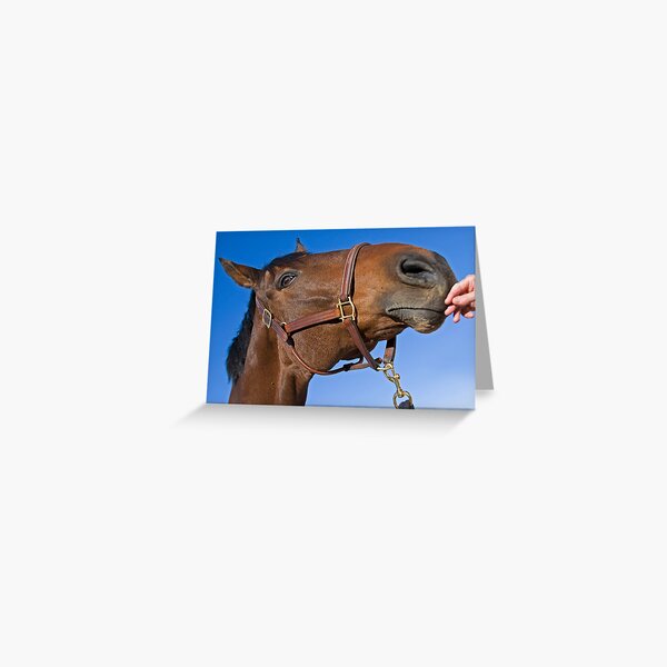 Gentle Nudge Greeting Card