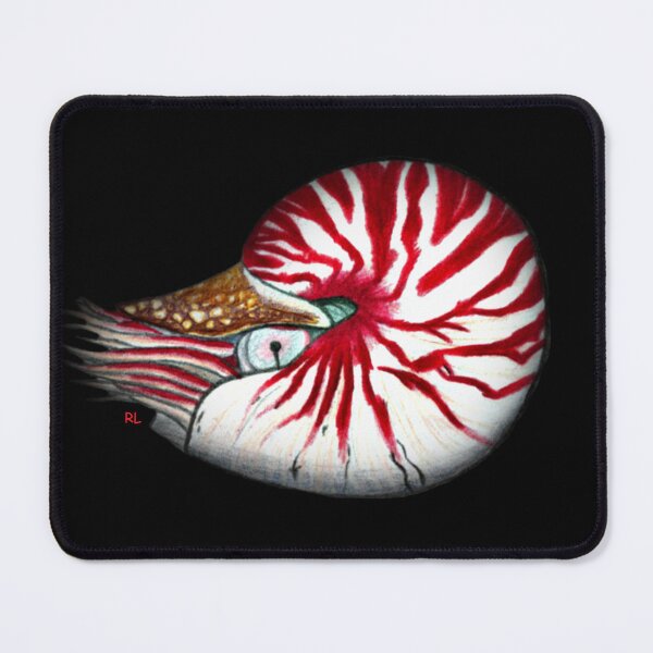 Item preview, Nautilus designed and sold by RLow42.