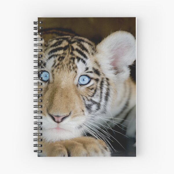 Item preview, Tiger With Beautiful Blue Eyes designed and sold by kris-money.