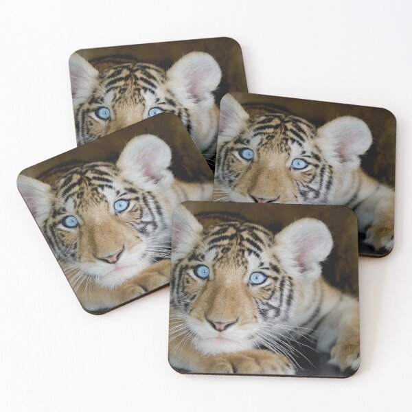 Item preview, Tiger With Beautiful Blue Eyes designed and sold by kris-money.