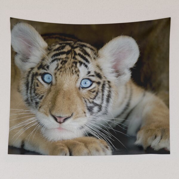 Item preview, Tiger With Beautiful Blue Eyes designed and sold by kris-money.