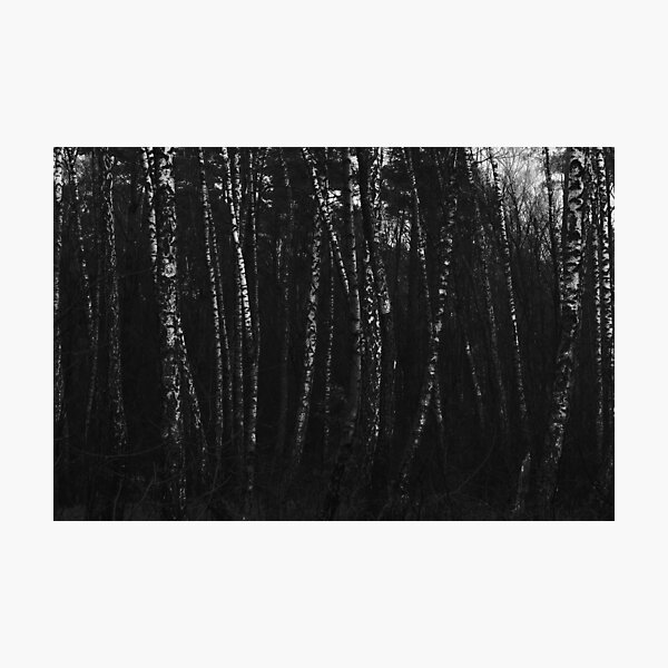 Item preview, Dark birches forest  designed and sold by antithesisw.