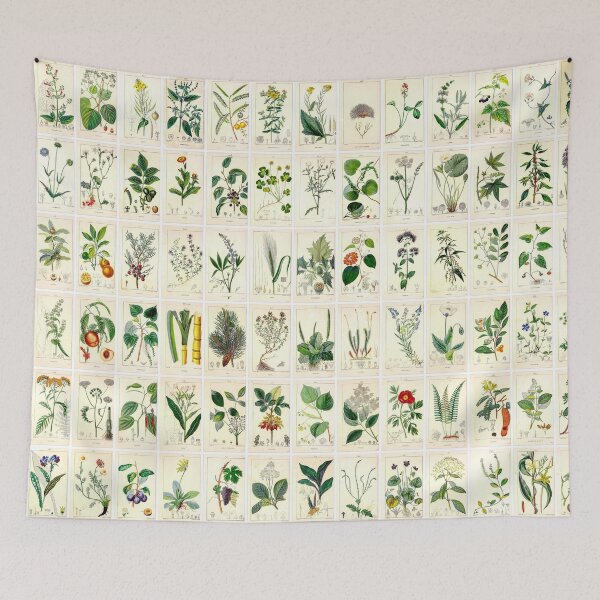 Item preview, Vintage Medicinal Plant Drawings, Poster, Landscape, 2nd version of 3 designed and sold by Michael Dietrich.