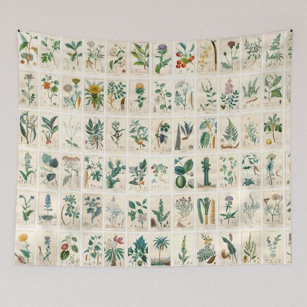 Item preview, Vintage Medicinal Plant Drawings, Poster, Landscape, 3rd version of 3 designed and sold by Michael Dietrich.