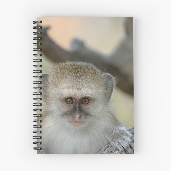 Item preview, Face 2 face designed and sold by Yves Roumazeilles (Wild Focus).