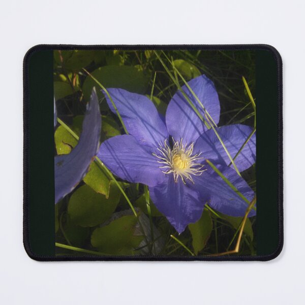 Item preview, Light kisses Clematis blossom designed and sold by Luna-Marigolde.