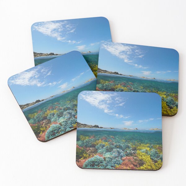 Item preview, Atlantic Ocean seascape seaweeds underwater and blue sky with cloud designed and sold by Seaphotoart.
