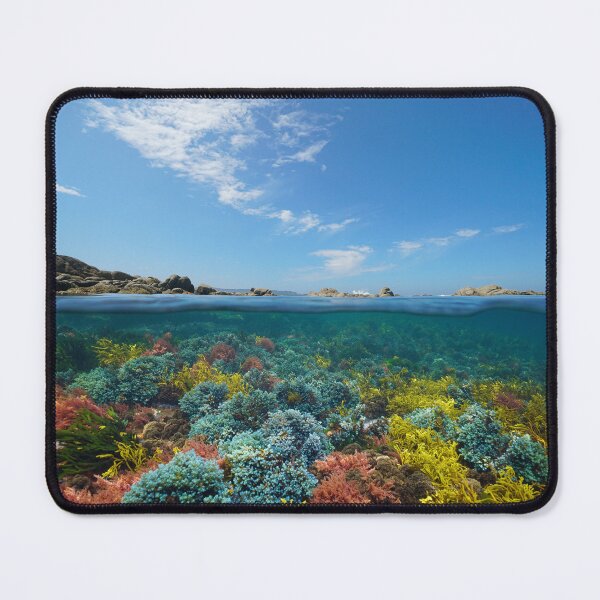 Item preview, Atlantic Ocean seascape seaweeds underwater and blue sky with cloud designed and sold by Seaphotoart.