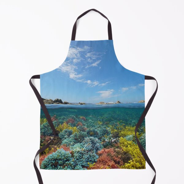 Item preview, Atlantic Ocean seascape seaweeds underwater and blue sky with cloud designed and sold by Seaphotoart.