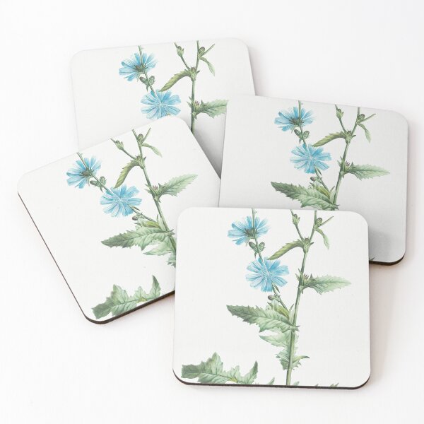 Item preview, Vintage chicory flower illustration by Pierre-Joseph Redouté designed and sold by EmeraldeaArt.