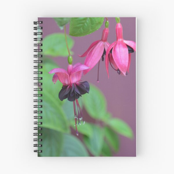 Item preview, fuschia designed and sold by ashroc.