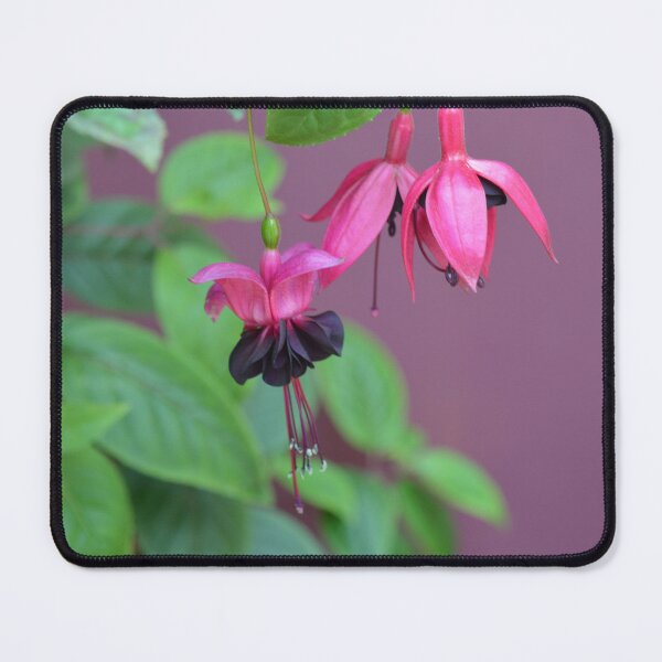 Item preview, fuschia designed and sold by ashroc.