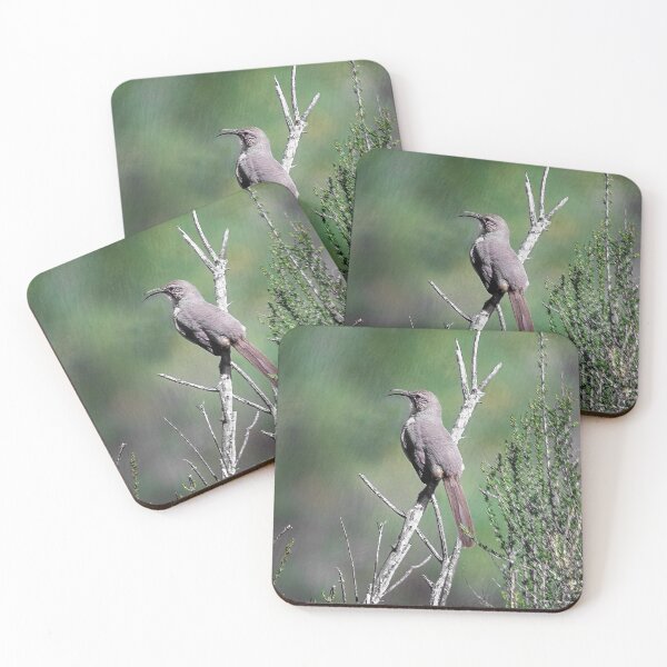 Item preview, California Thrasher  designed and sold by CarolM.