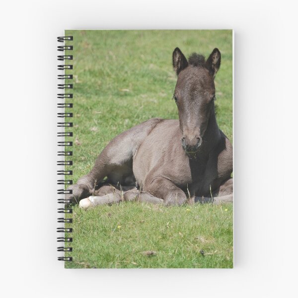 Item preview, Dartmoor foals designed and sold by PurefireDesigns.