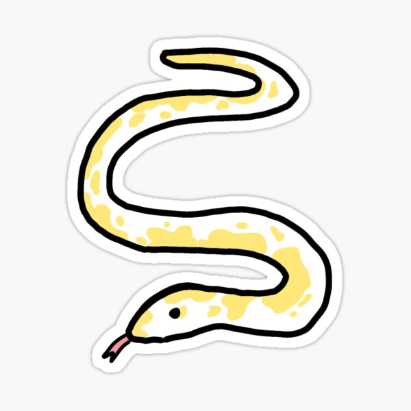 cobra albina - Pesquisa do Google  Albino animals, Cute snake, Baby snakes