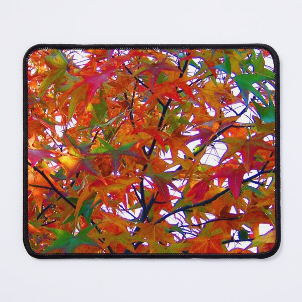 Item preview, Maple leaves in orange, red, yellow and green. designed and sold by claireseyeview.
