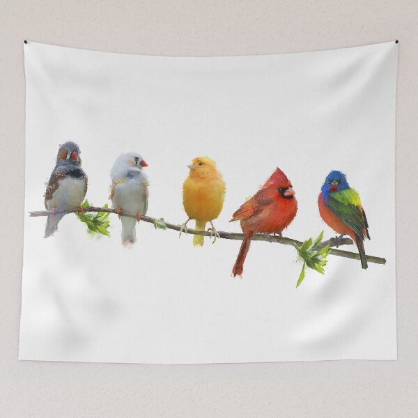 Artikelvorschau, Bunte Singvögel, Illustration, Isolated on White Background entworfen und verkauft von svetlanna.