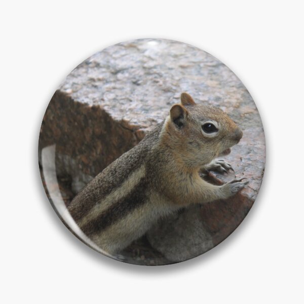 Item preview, Chipmunk in Repose: A Moment of Peace on the Sidewalk designed and sold by inspiredbnature.