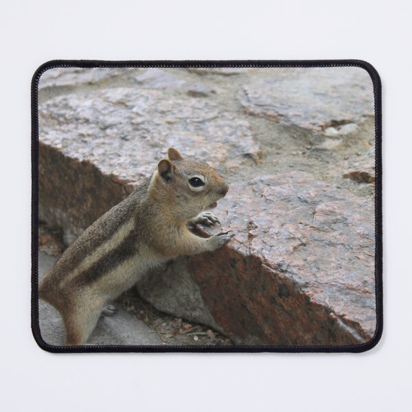 Item preview, Chipmunk in Repose: A Moment of Peace on the Sidewalk designed and sold by inspiredbnature.