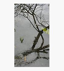 Sculptures in living water 3 Photographic Print
