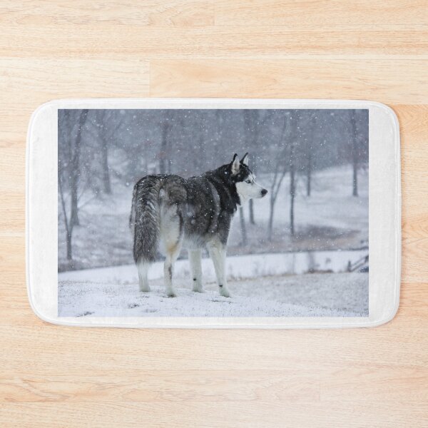 Item preview, Wolf like Siberian Husky in the heavy snow with trees and pond in the background. designed and sold by myhuskymax.