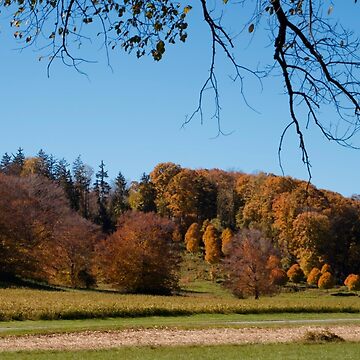 Artwork thumbnail, Biltmore Estate Asheville North Carolina by teruyalab