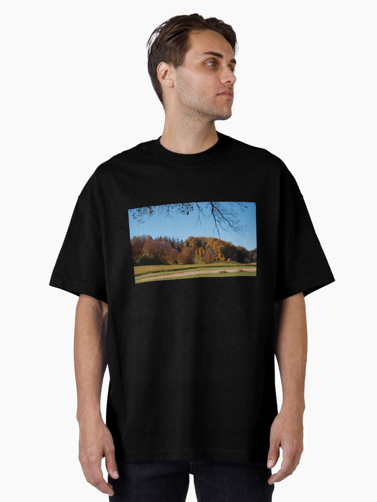 Thumbnail 1 of 7, Oversized T-Shirt, Biltmore Estate Asheville North Carolina designed and sold by teruyalab.