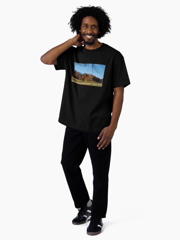 Thumbnail 4 of 7, Oversized T-Shirt, Biltmore Estate Asheville North Carolina designed and sold by teruyalab.