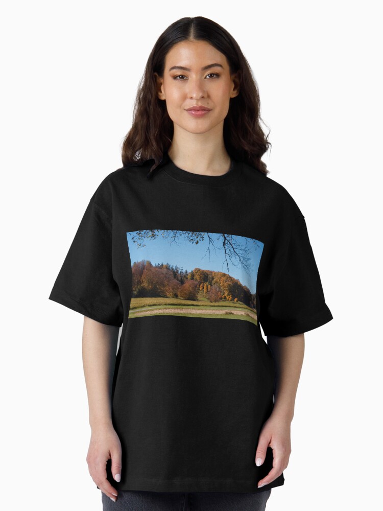 Thumbnail 2 of 7, Oversized T-Shirt, Biltmore Estate Asheville North Carolina designed and sold by teruyalab.