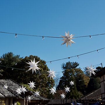 Artwork thumbnail, Lights at Biltmore Estate Asheville North Carolina by teruyalab