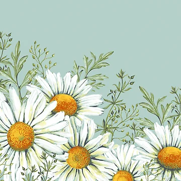Artwork thumbnail, Sweet Daisies  by Mandala Of Life