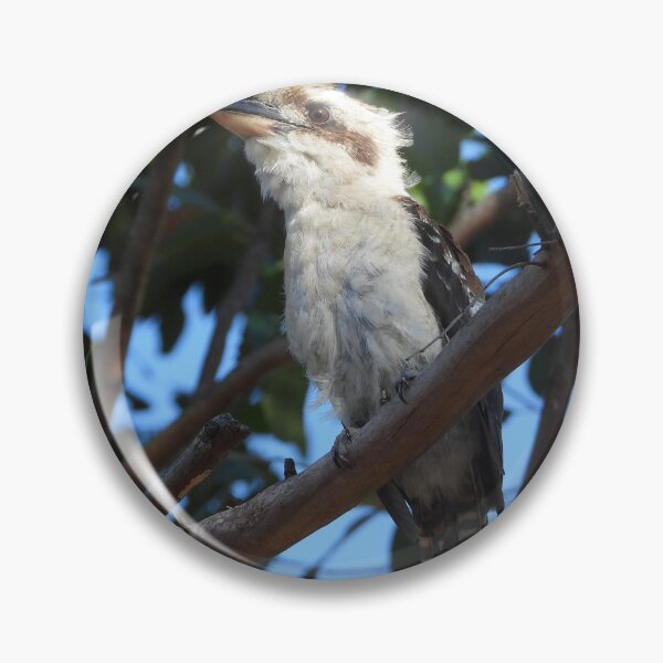 Item preview, Marlo Kookaburra  designed and sold by MissPell.
