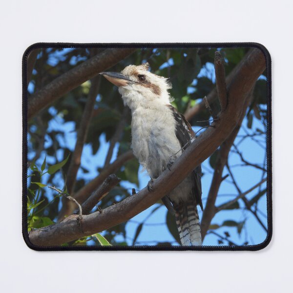 Item preview, Marlo Kookaburra  designed and sold by MissPell.