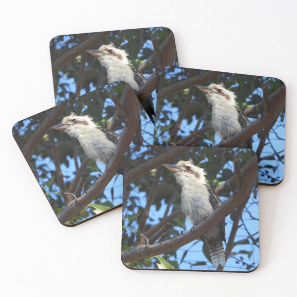 Item preview, Marlo Kookaburra  designed and sold by MissPell.