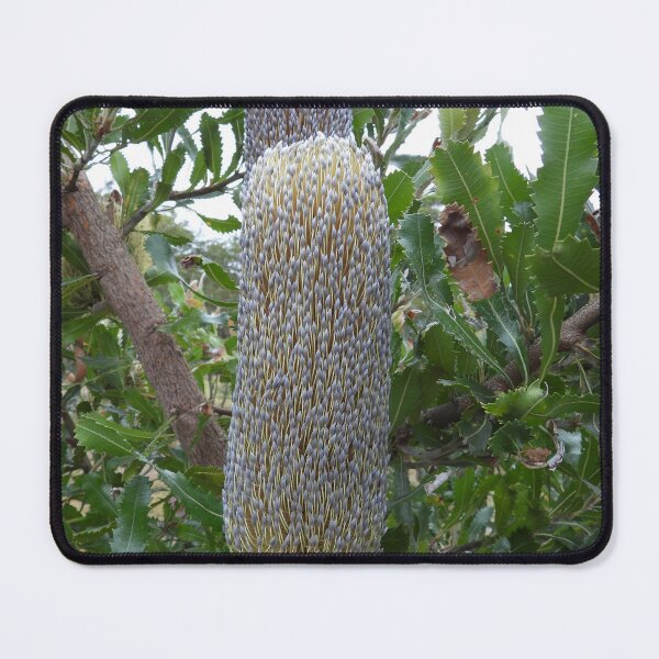 Item preview, Banksia designed and sold by MissPell.