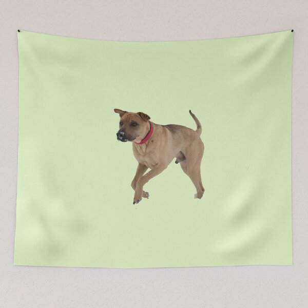 Item preview, Bruno designed and sold by GOSIA GRZYBEK.