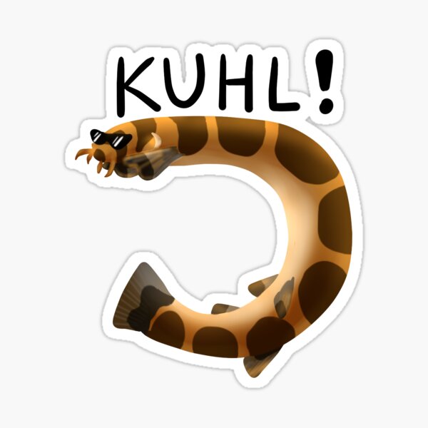 Kuhli Loach Sticker