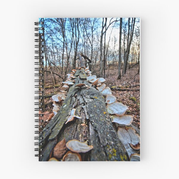 Item preview, Fungal Consumption designed and sold by LynyrdSky.
