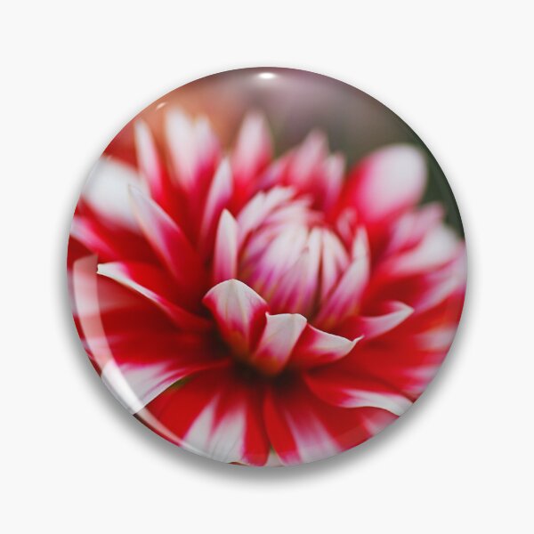 Item preview, Red Dahlia Petal Depth designed and sold by Joy Watson - Natural Light Photography .