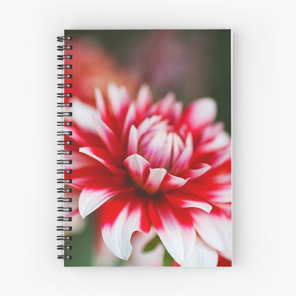 Item preview, Red Dahlia Petal Depth designed and sold by Joy Watson - Natural Light Photography .