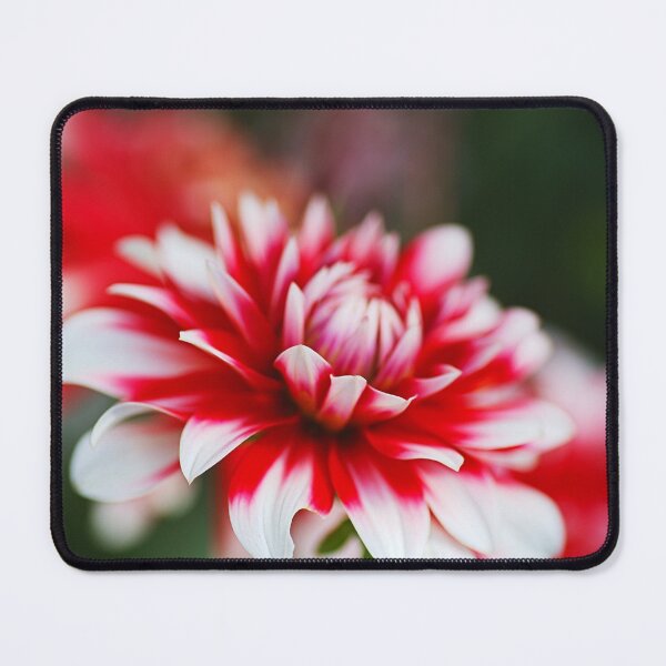 Item preview, Red Dahlia Petal Depth designed and sold by Joy Watson - Natural Light Photography .