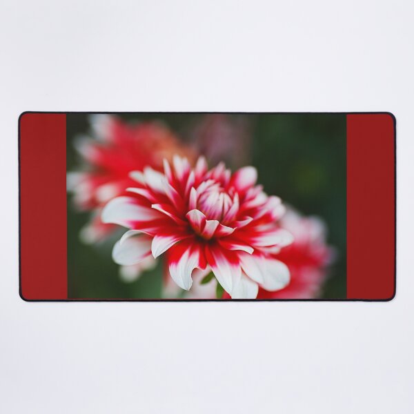 Item preview, Red Dahlia Petal Depth designed and sold by Joy Watson - Natural Light Photography .