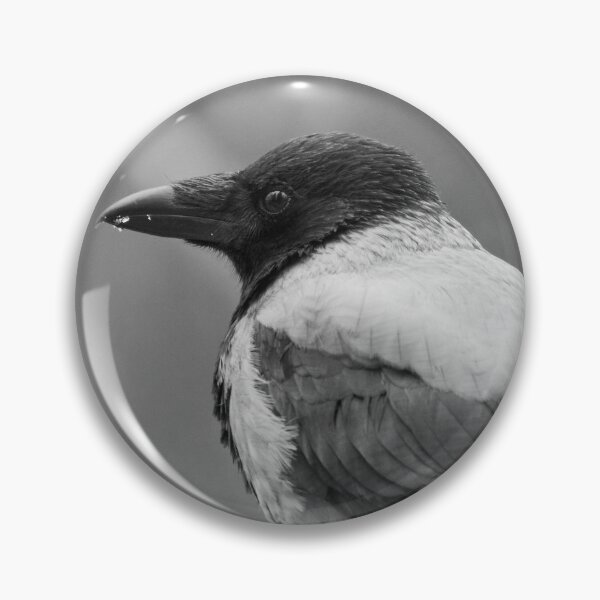 Item preview, Showing the profile. Hooded Crow in bw designed and sold by Jouko Lehto Photography.