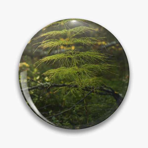 Item preview, Wood horsetail in morning haze designed and sold by Jouko Lehto Photography.