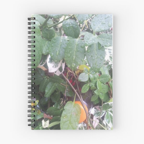 Item preview, Volksbolts/KABFA Designs, Nuneaton Hedgerow Image,  By Miss K L Slomczynski designed and sold by KABFA Designs.