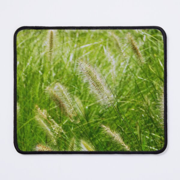 Item preview, Sunshine highlighting fluffy grass designed and sold by jaynerushton.