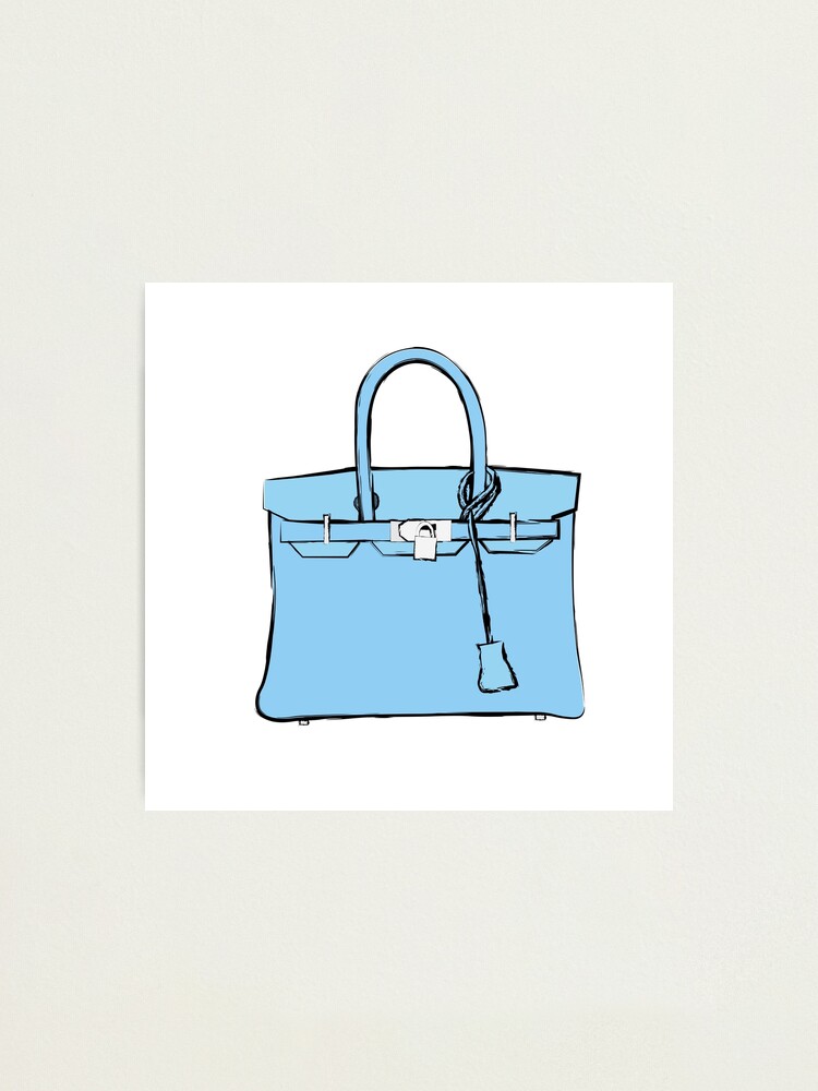 baby blue birkin bag